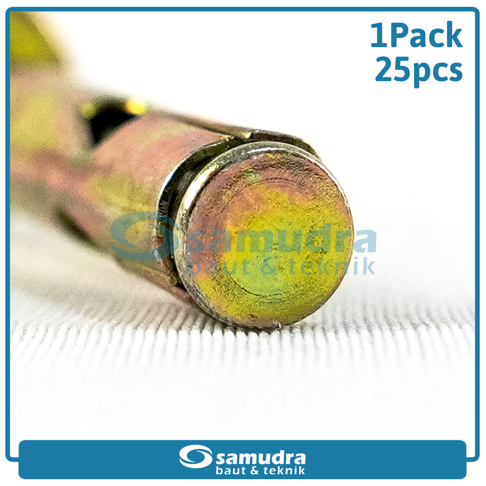 WOWO 2522 25 Pcs Dinabolt 6 X 43 Baut Beton Tembok Dynabolt M6 Skrup