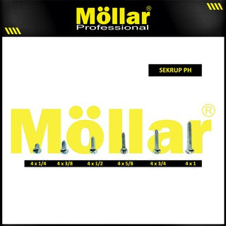 MOLLAR 93-014 Sekrup PH 4 x 1/4 - 100 pcs