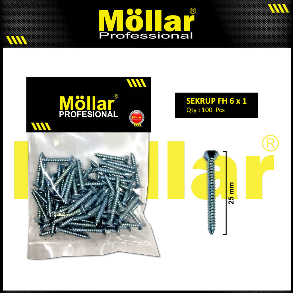 MOLLAR 93-048 Sekrup FH 6 x 1 - 100 pcs