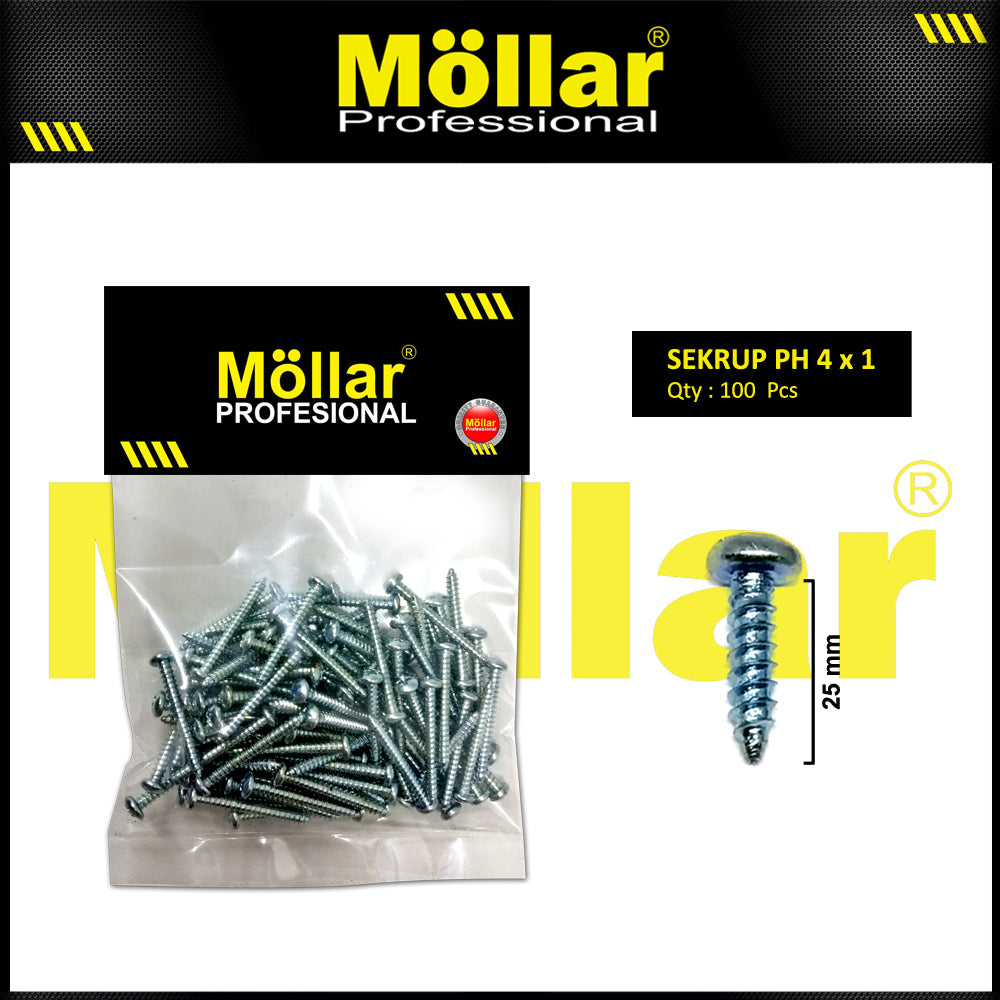 MOLLAR 93-019 Sekrup PH 4 x 1 - 100 pcs