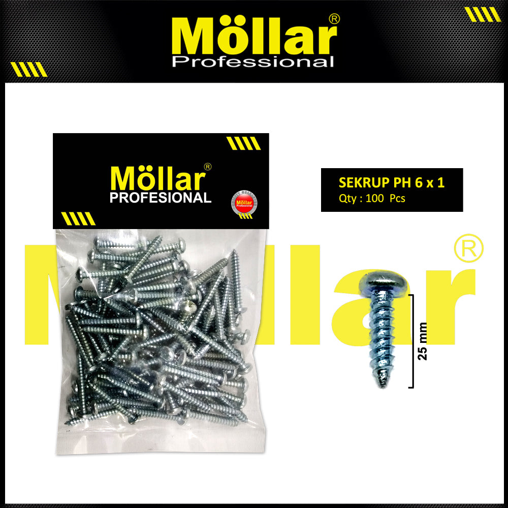 MOLLAR 93-024 Sekrup PH 6 x 1 - 100 pcs