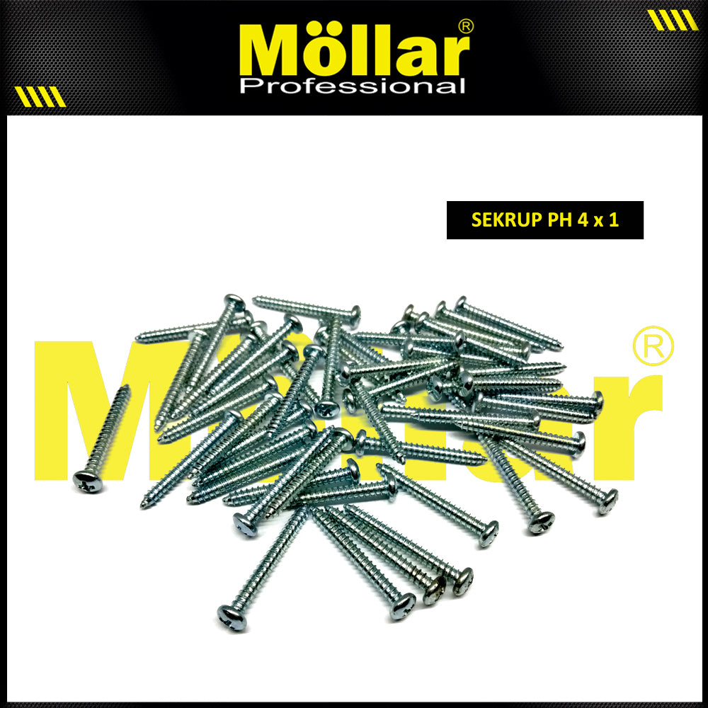 MOLLAR 93-019 Sekrup PH 4 x 1 - 100 pcs