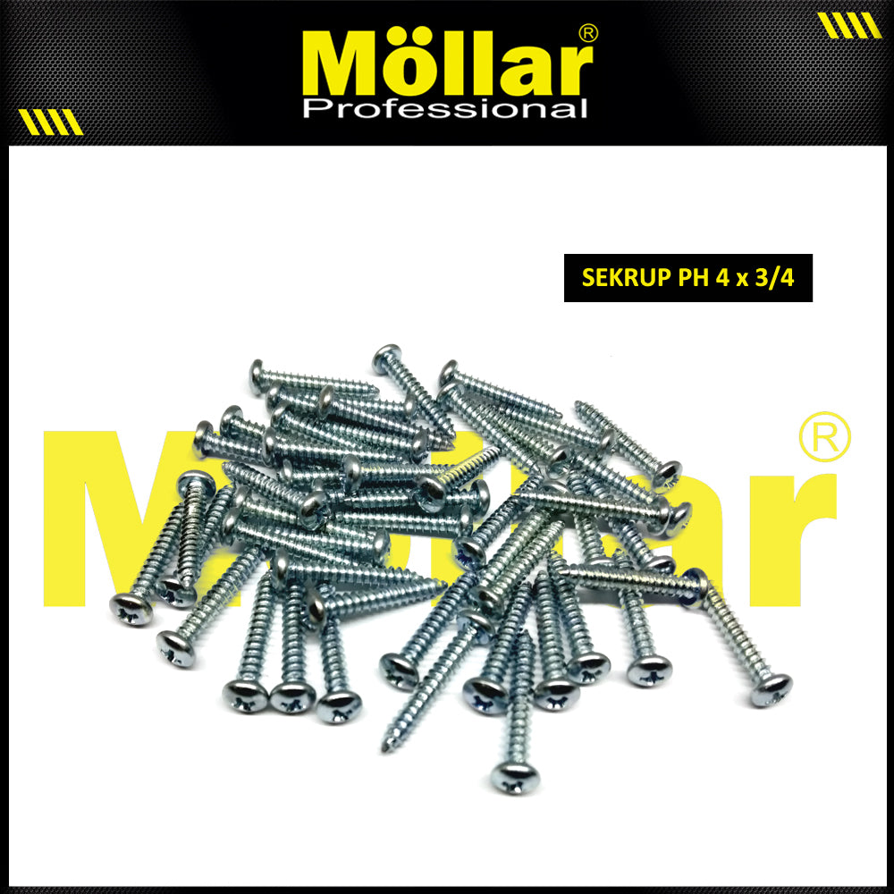 MOLLAR 93-018 Sekrup PH 4 x 3/4 - 100 pcs