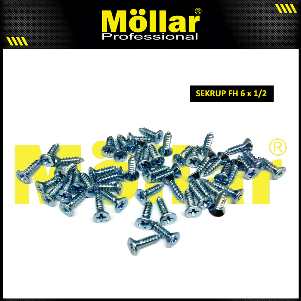 MOLLAR 93-045 Sekrup FH 6 x 1/2 - 100 pcs