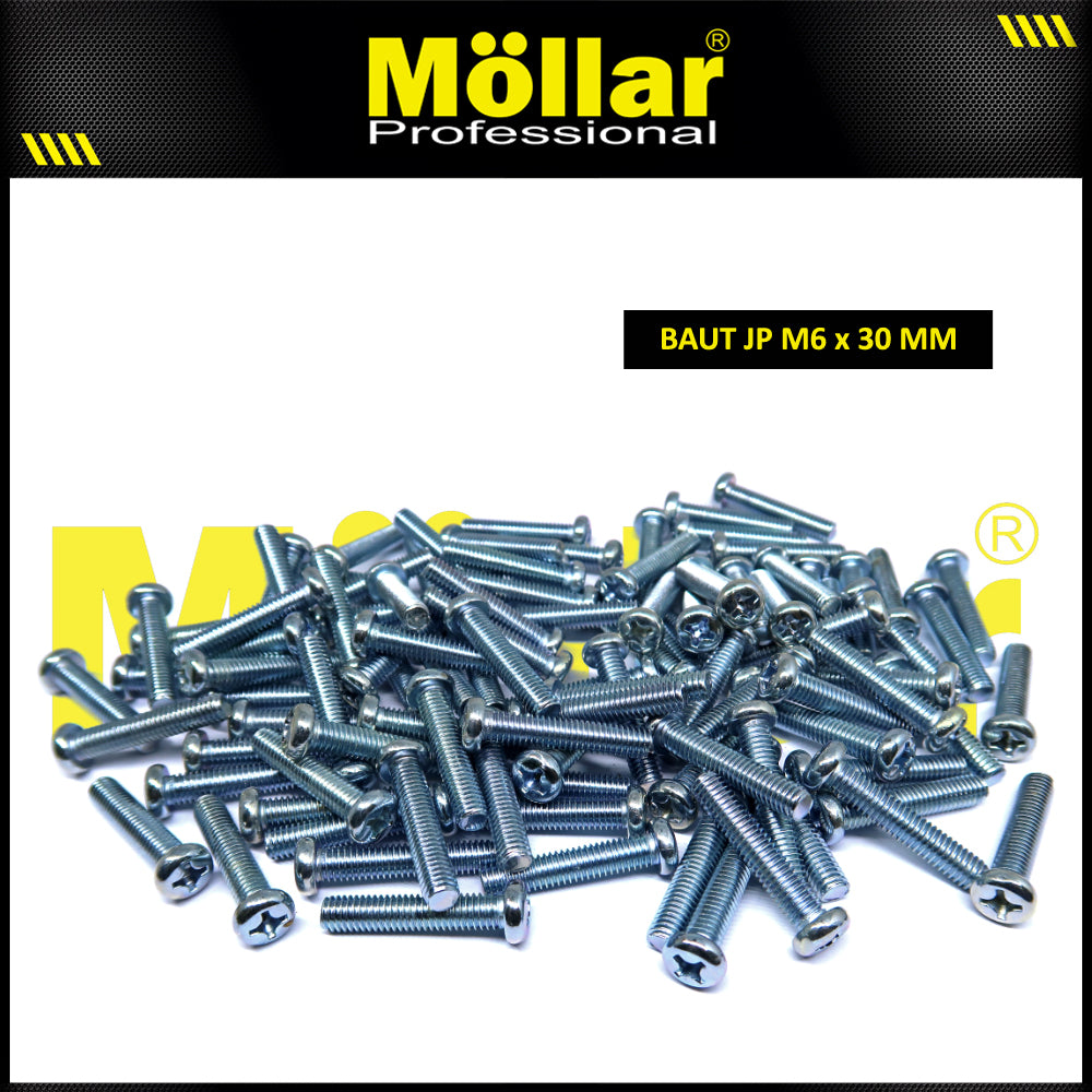 MOLLAR 93-123 Baut JP M6 x 30 - 100 pcs