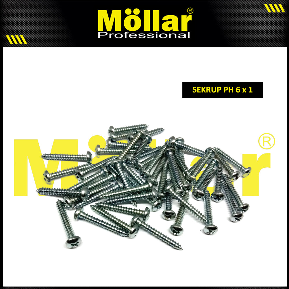 MOLLAR 93-024 Sekrup PH 6 x 1 - 100 pcs