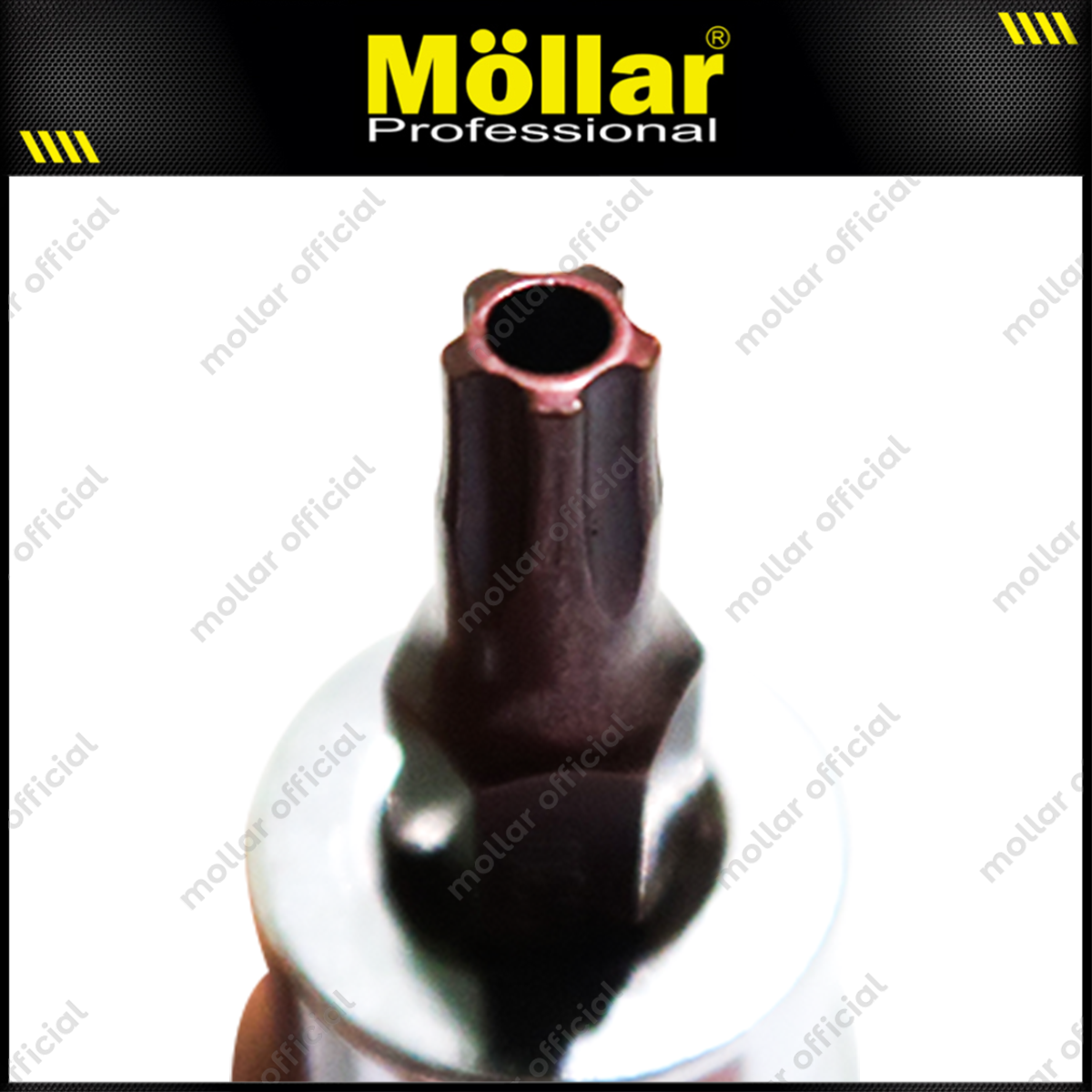 MOLLAR D13381 Mata Sok Bintang 1/2" T30