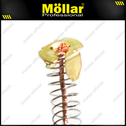 MOLLAR Carbon Brush CB100