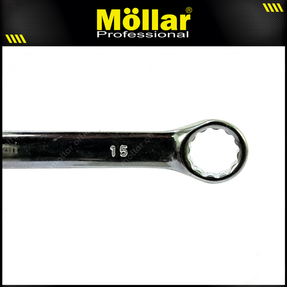 BISON Kunci Ring Pas 15 mm