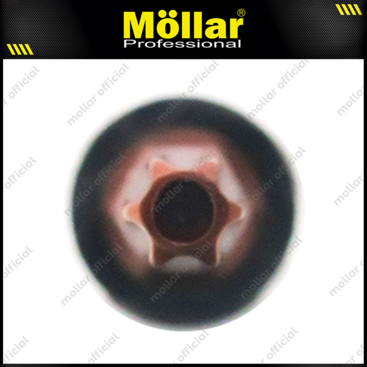 MOLLAR D13382 Mata Sok Bintang 1/2" T40