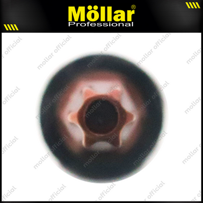 MOLLAR D13382 Mata Sok Bintang 1/2" T40