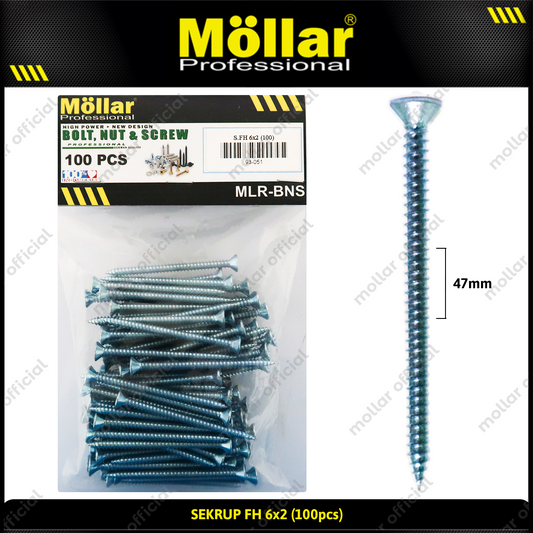 MOLLAR 93-051 Sekrup FH 6 x 2 - 100 pcs