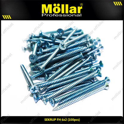 MOLLAR 93-051 Sekrup FH 6 x 2 - 100 pcs