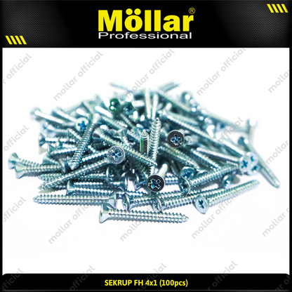 MOLLAR 93-043 Sekrup FH 4 x 1 - 100 pcs