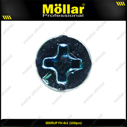 MOLLAR 93-043 Sekrup FH 4 x 1 - 100 pcs
