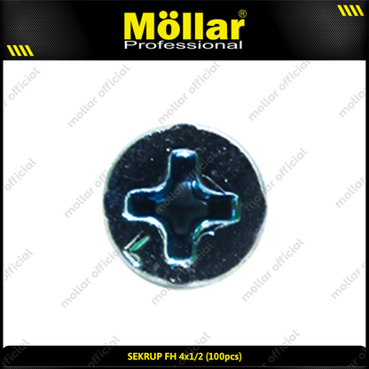 MOLLAR 93-040 Sekrup FH 4 x 1/2 - 100 pcs