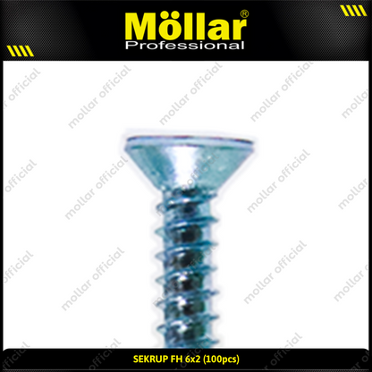MOLLAR 93-051 Sekrup FH 6 x 2 - 100 pcs