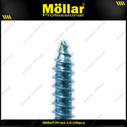 MOLLAR 93-025 Sekrup PH 6 x 1-1/4 - 100 pcs