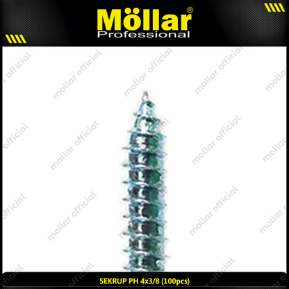 MOLLAR 93-015 Sekrup PH 4 x 3/8 - 100 pcs