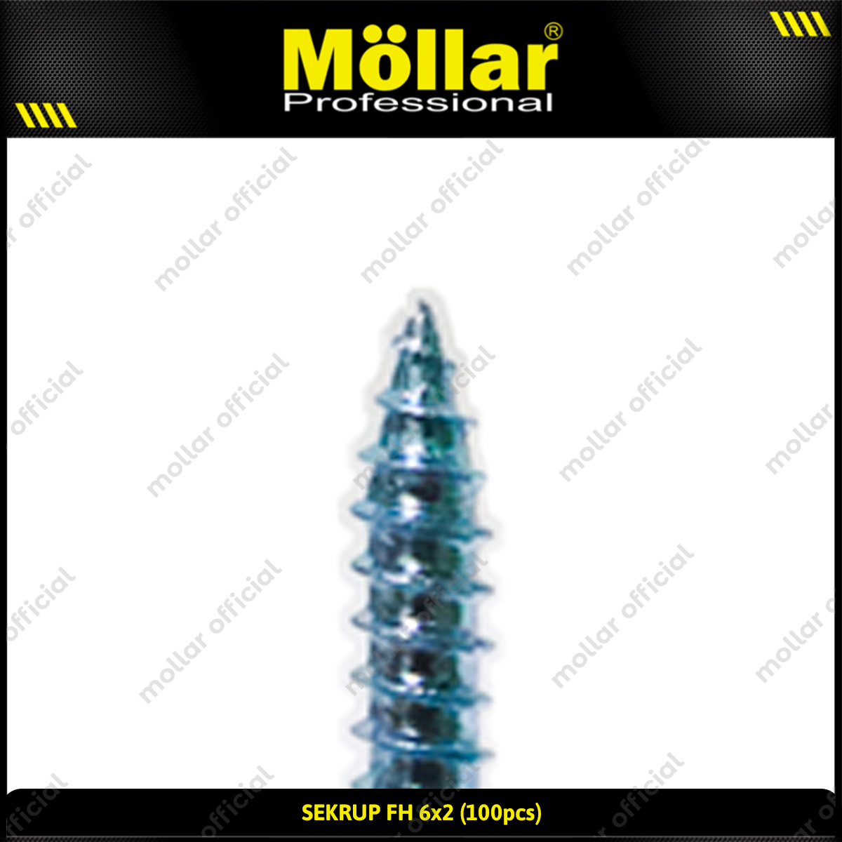 MOLLAR 93-051 Sekrup FH 6 x 2 - 100 pcs