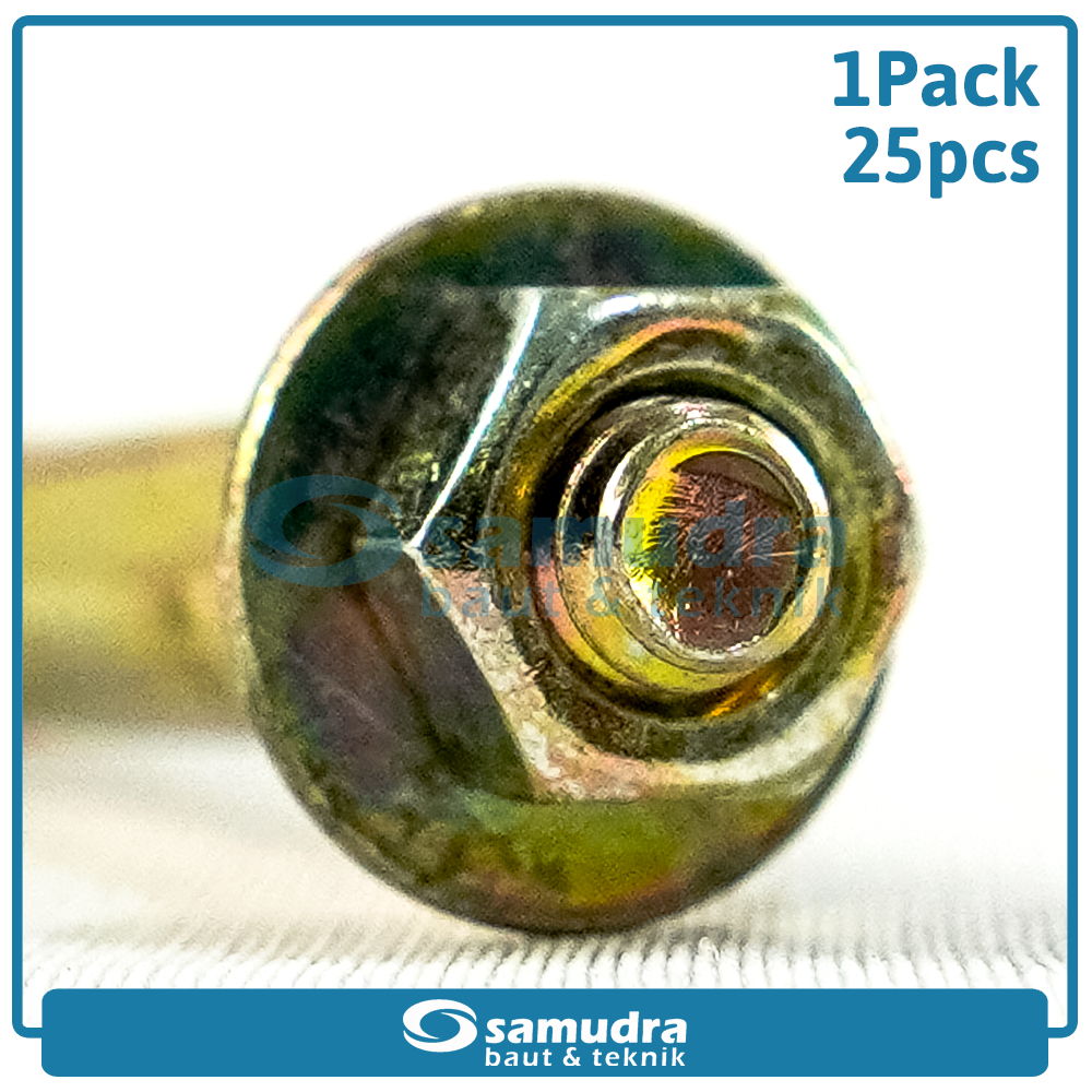 WOWO 2522 25 Pcs Dinabolt 6 X 43 Baut Beton Tembok Dynabolt M6 Skrup