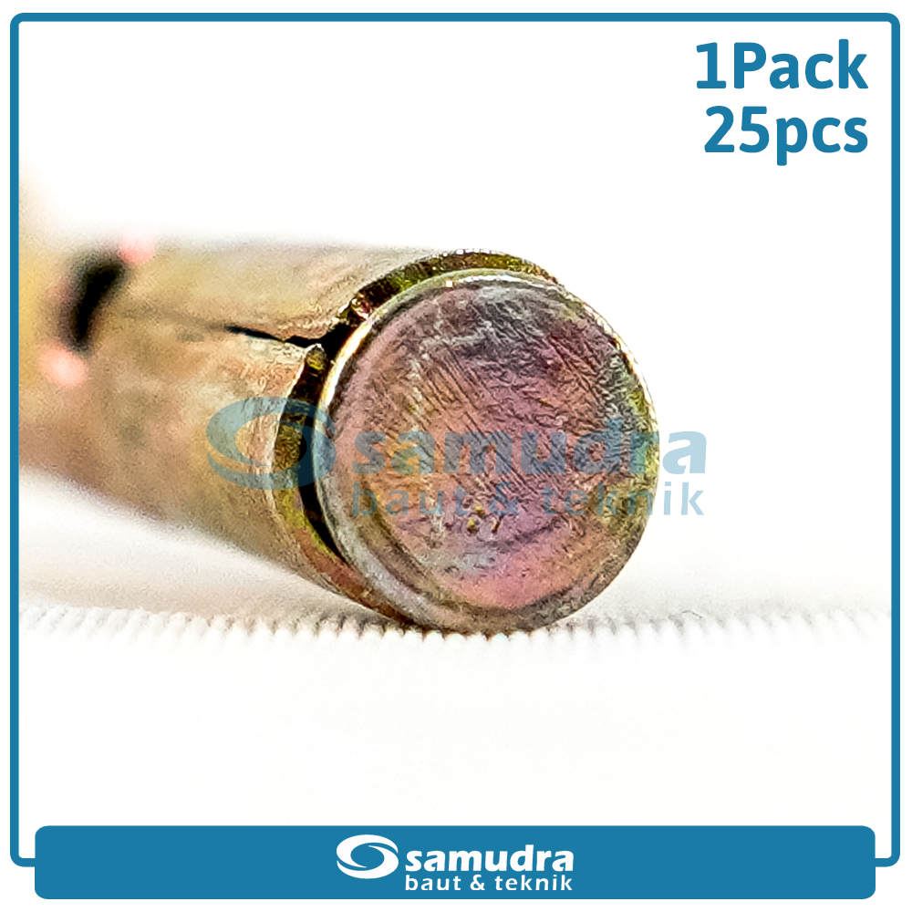 WOWO 2523 25 Pcs Dinabolt 6 X 61 Baut Beton Tembok Dynabolt M6 Skrup