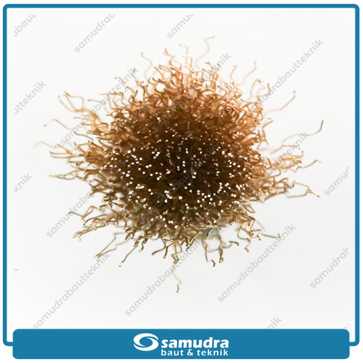 HASSTON 3450-107 Sikat Baja Gerinda 24 mm