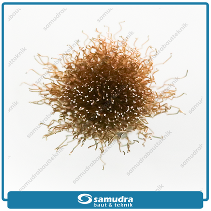 HASSTON 3450-107 Sikat Baja Gerinda 24 mm