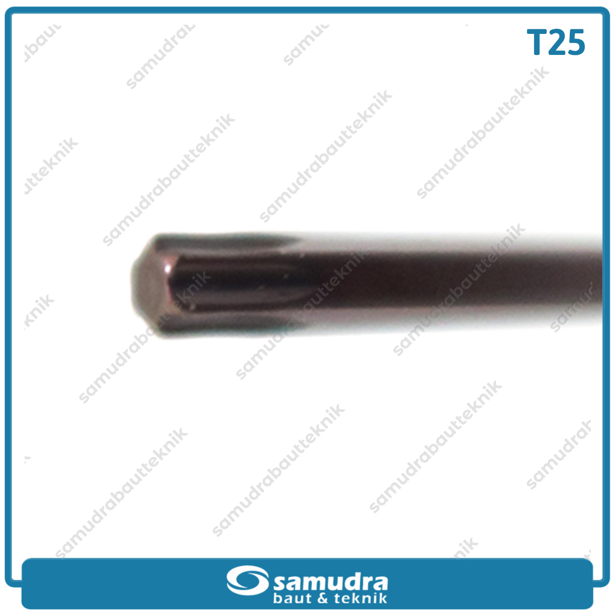 LIPPRO 163-T25 Kunci L Panjang Extra Long Bintang T25