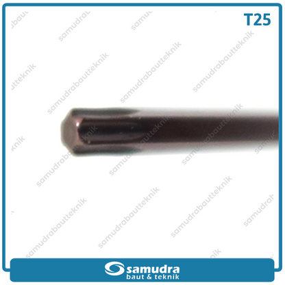 LIPPRO 163-T25 Kunci L Panjang Extra Long Bintang T25