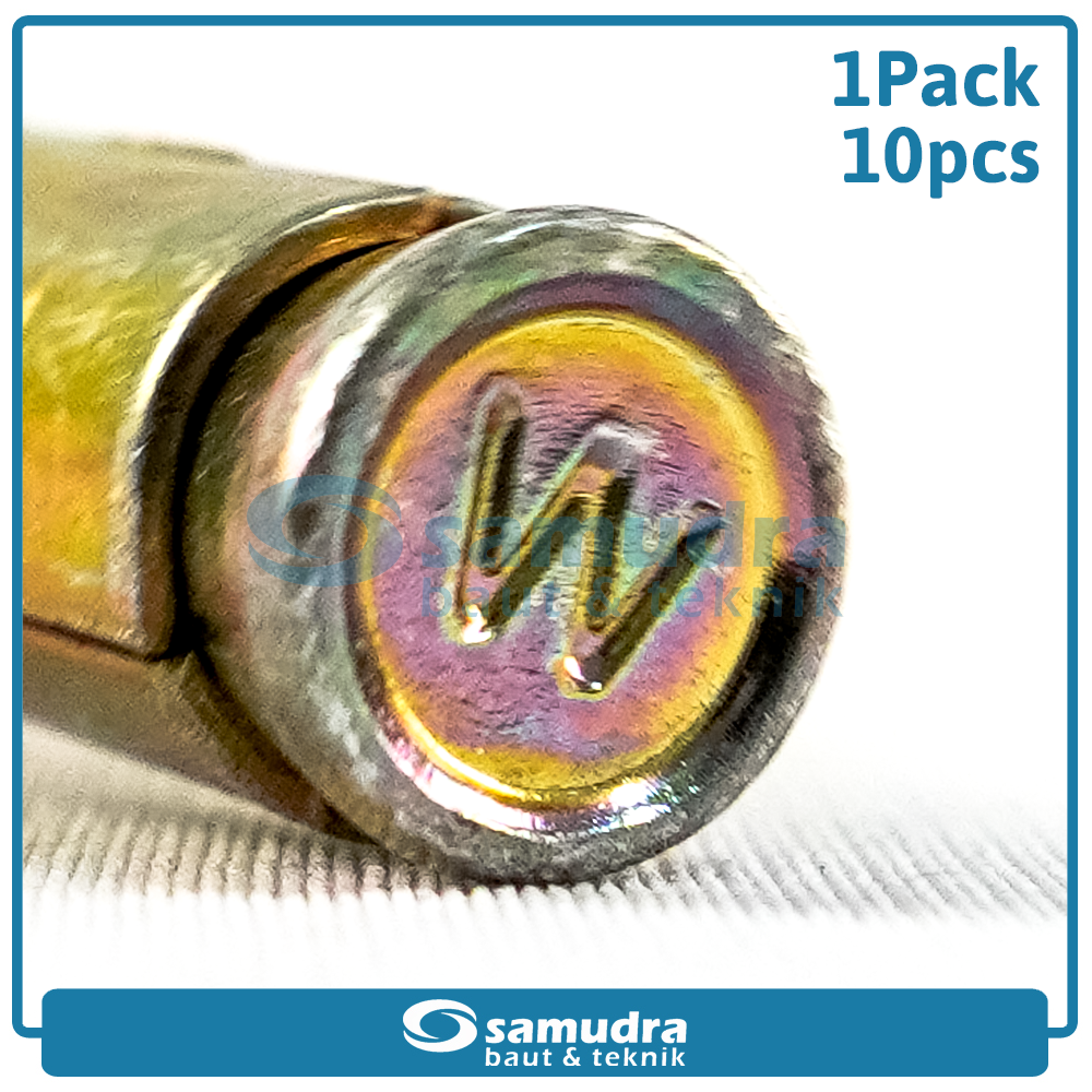 WOWO 3717 10 Pcs Dinabolt 10 X 50 Baut Beton Tembok Dynabolt M10 Skrup