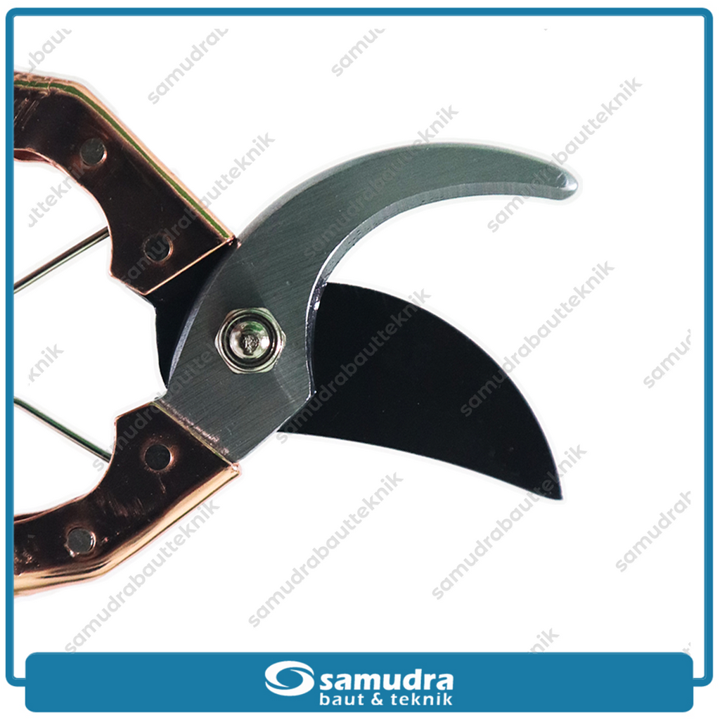LIPPRO 241-31 Gunting Dahan 8"