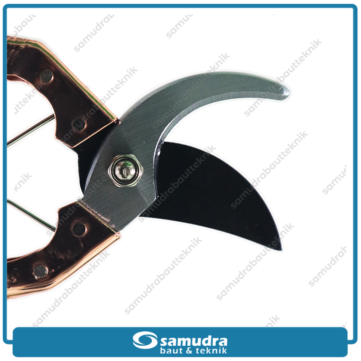 LIPPRO 241-31 Gunting Dahan 8"