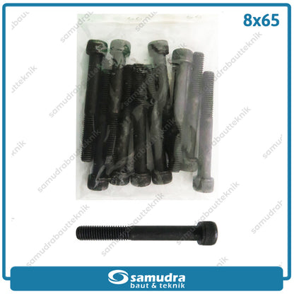 JP Baut L M8 x 65 mm Isi 10 pcs